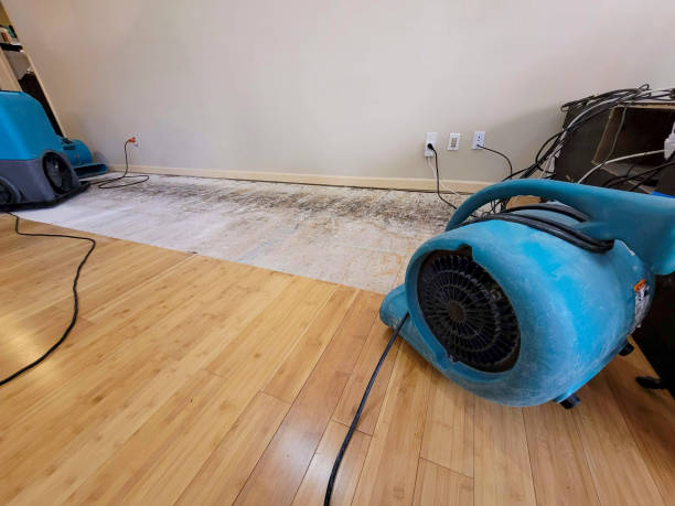 Professional Water Damage Repair technician working in Fairmount, CO